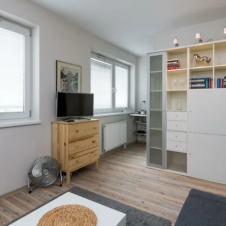 Sunny 1 With The View Over Cracow